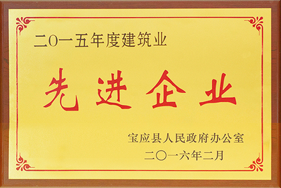2015年建筑业先进企业