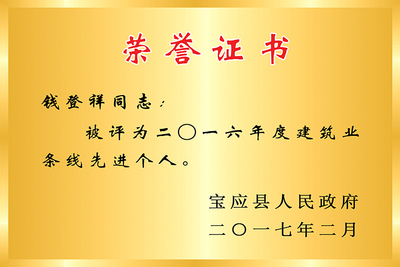 2016年建筑业先进个人